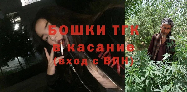 шишки Алзамай