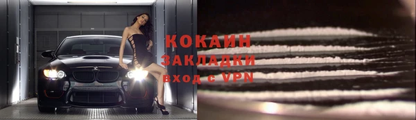 шишки Алзамай