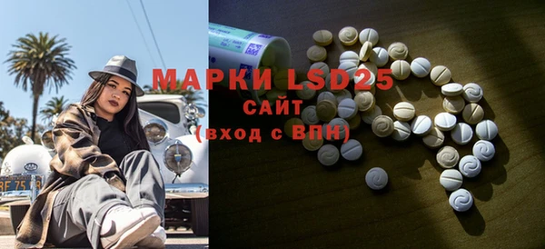 шишки Алзамай