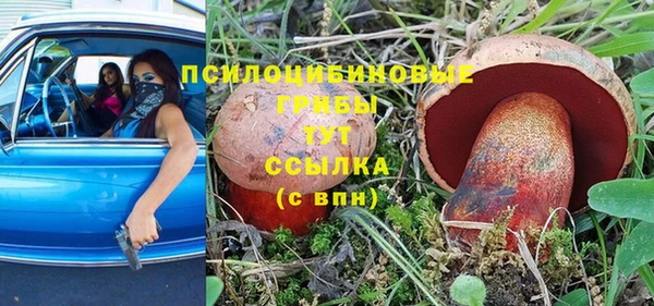 круглые Алексеевка